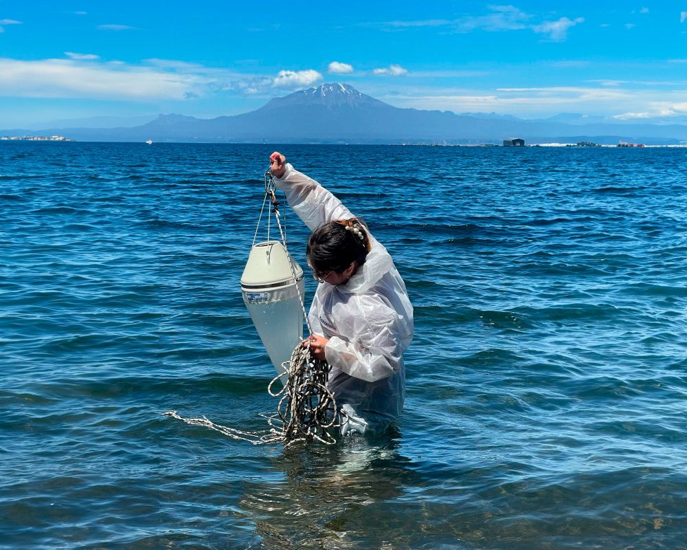 El estudio reveló preocupante son los altos niveles de coliformes fecales presenta temporalmente el Lago Llanquihue.